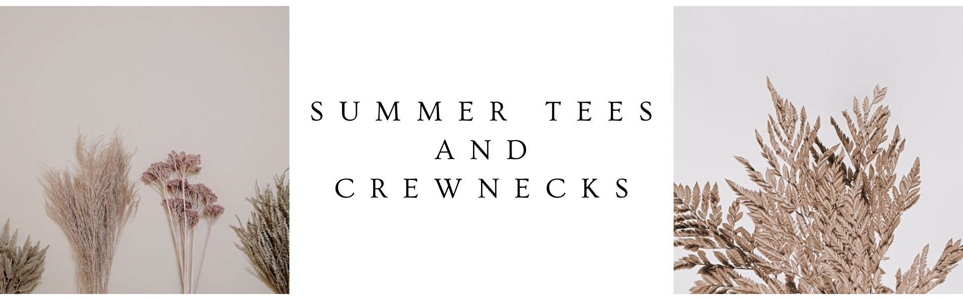 Summer Tees/Crews