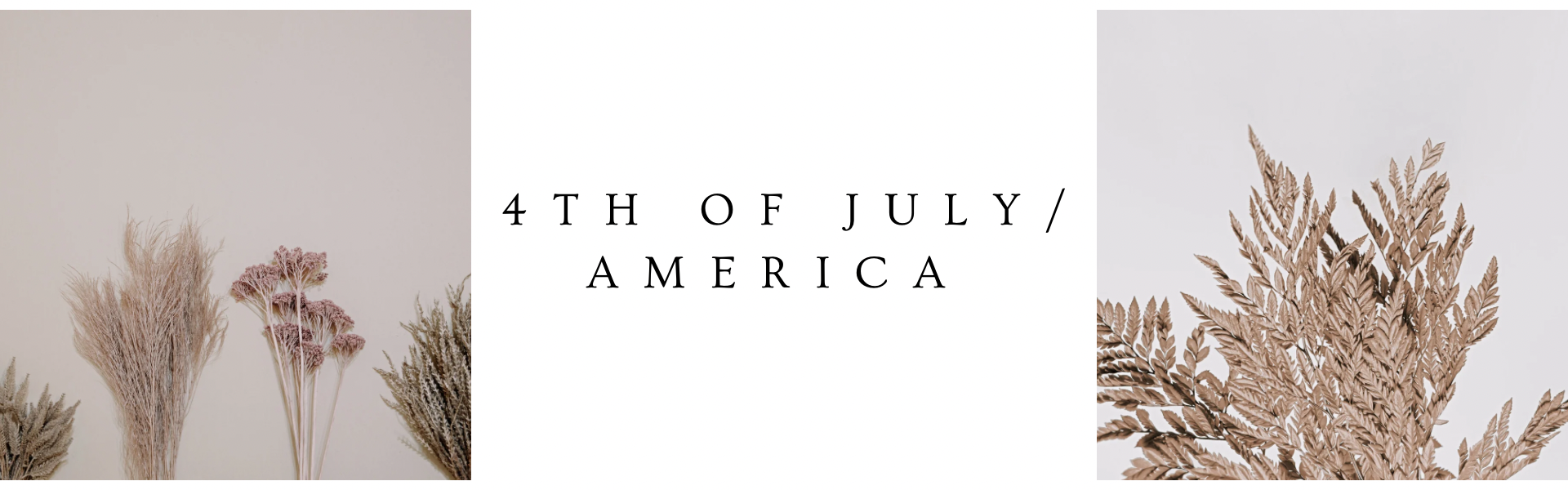 4th of July/America
